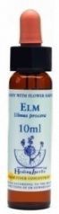 Healing Herbs Elm 10ml