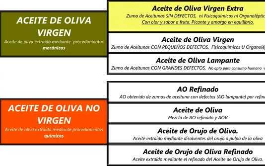 oliva