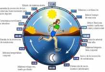 ciclo-circadiano