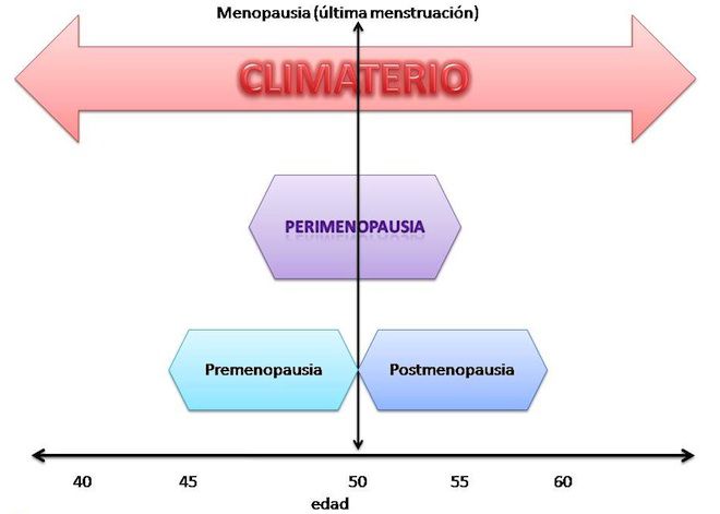 perimenopausia