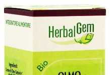 herbalgem_olmo_campestre