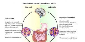 emociones-digestivo